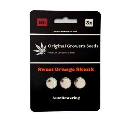 Sweet Orange Skunk