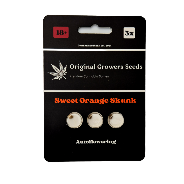 Sweet Orange Skunk