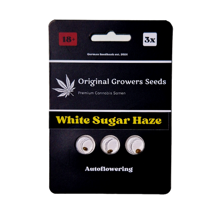 White Sugar Haze